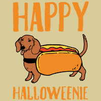 Piesek w przebraniu hot dog szczęśliwego Halloween